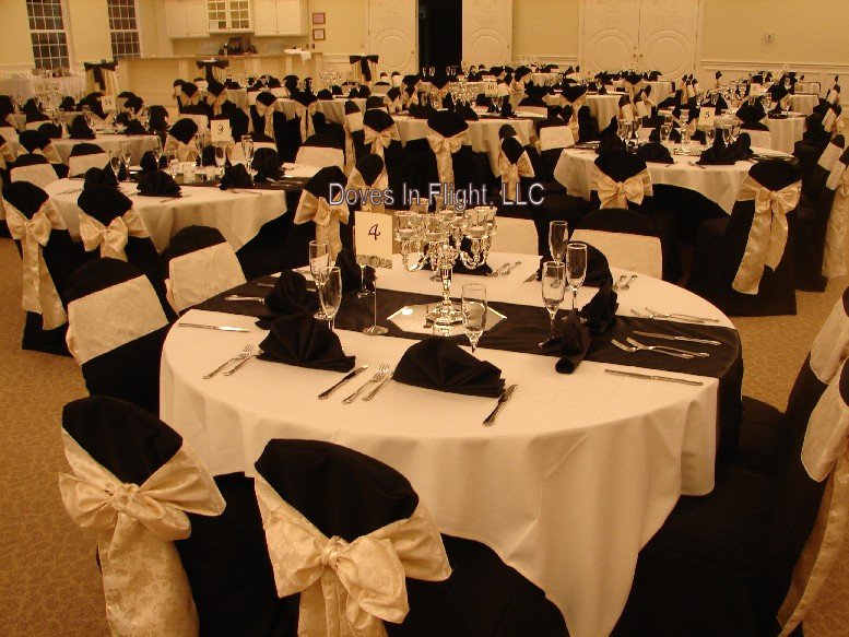 Chair Covers Of Lansing Doves In Flight Decorating