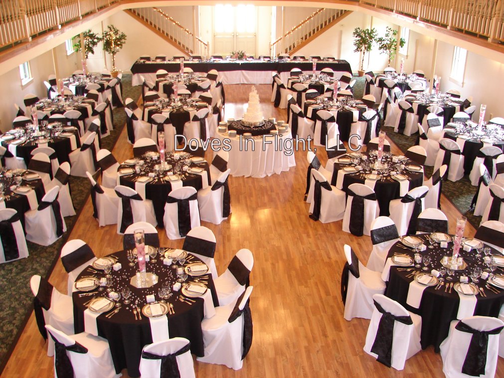 Chair Covers Of Lansing Doves In Flight Decorating