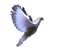 Description: J:Copy Website 4~22~2010Imagesdove-ani.gif